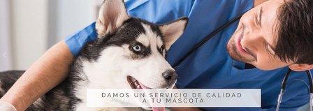Veterinary Clinic Molino de la Hoz
