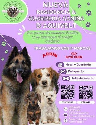 Residencia Canina D'AQUIVELT