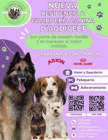 Residencia Canina D'AQUIVELT