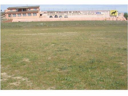 Residencia Canina Casarrubios