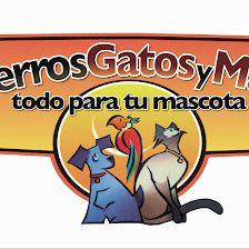 Perros Gatos y Mas