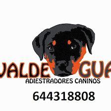 Valdeguau