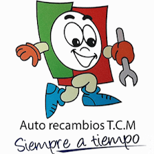 Autorecambios TCM
