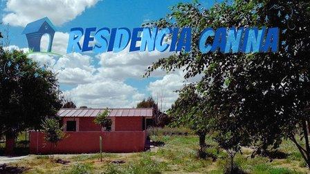 3 PATAS - Residencia Canina en Madrid