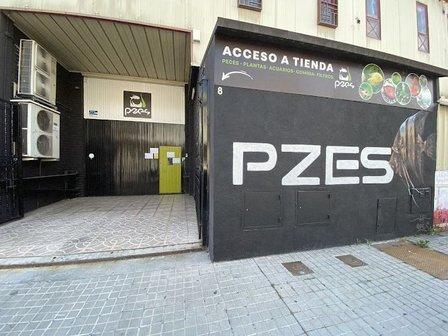 Pzes Online
