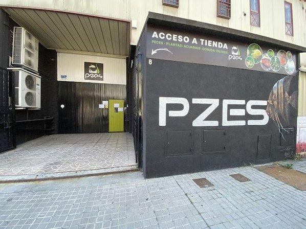 Pzes Online