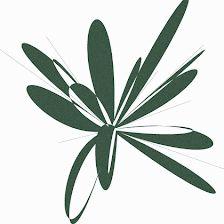 Revive Wellness Hub