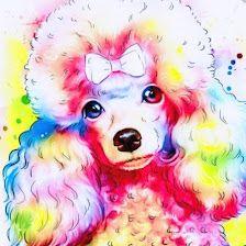 Al Repasito Peluquería Canina