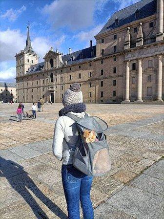 Adventurix Pets