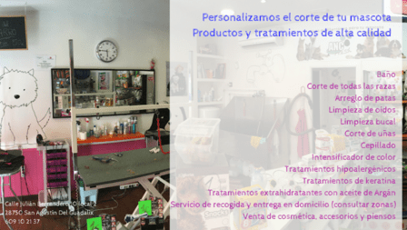 STRELLA Peluquería Canina