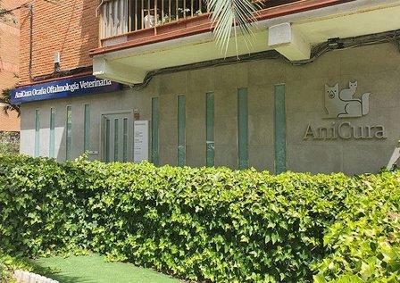 Veterinary Clinic Ophthalmological Ocaña