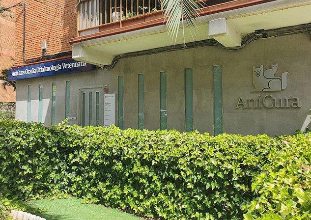 Veterinary Clinic Ophthalmological Ocaña