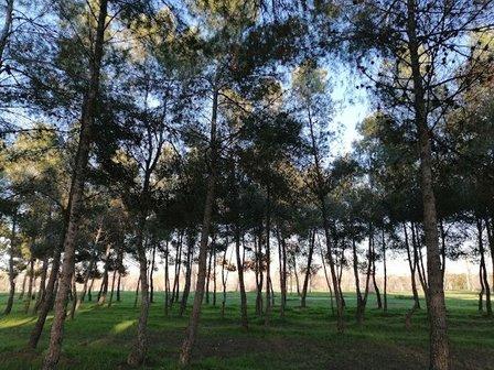 CEPI Usera-Villaverde
