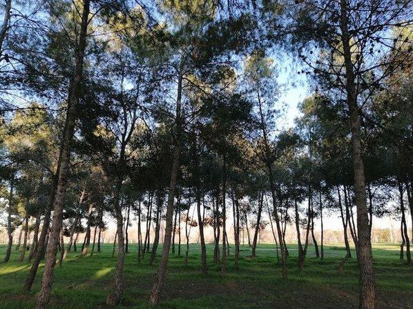 CEPI Usera-Villaverde
