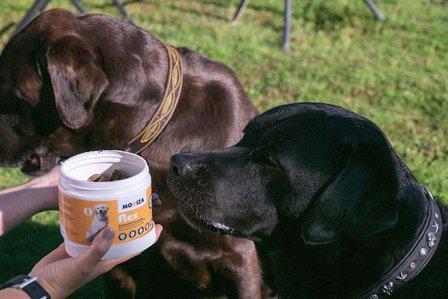 Mooiza Pet Health