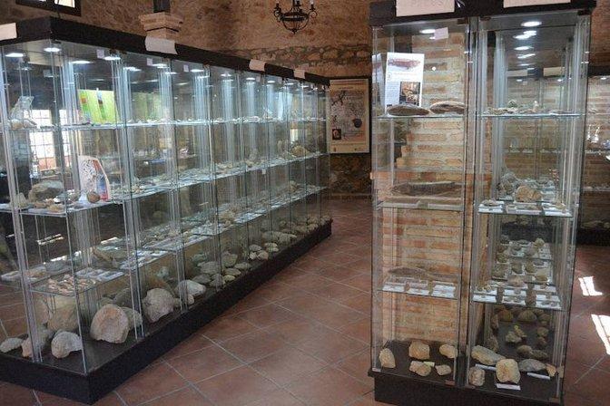 Museo Paleontológico de Maranchón "El Mirón"