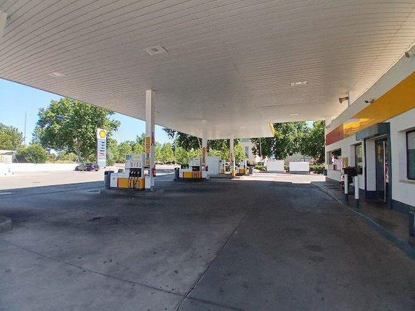 E S Shell Nuns