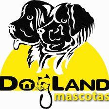 Dogland Mascotas