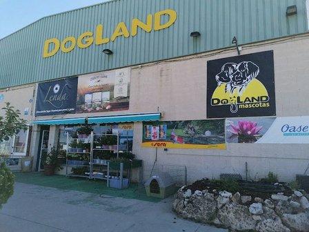 Dogland Mascotas