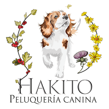 Hakito peluquería canina
