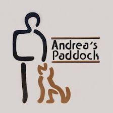 Madrid Residencia Canina Andreas Paddock