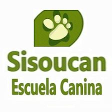 Escuela Canina Sisoucan