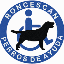 Roncescan