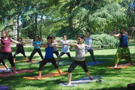 Yoga studio - Yogaes
