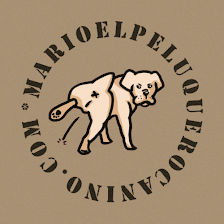 Mario el peluquero canino