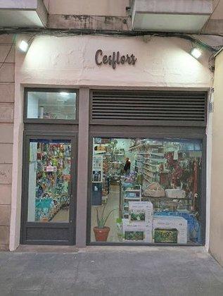 Cesflor's