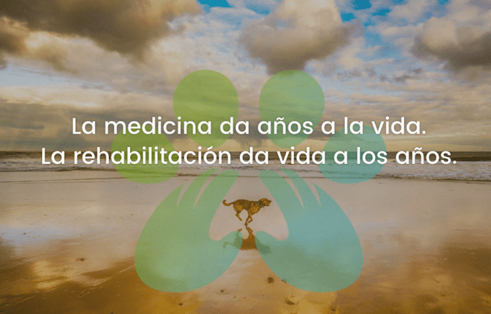 Recuperavet