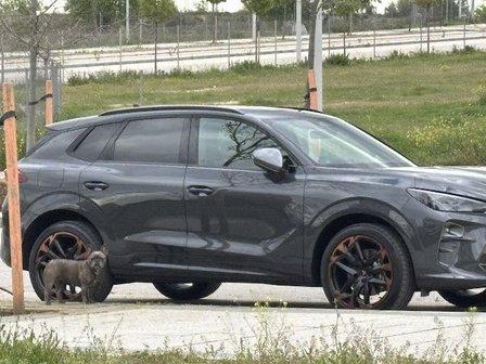 NOBLEJAS MOTOR CUPRA