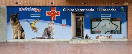 AmbulanVet Veterinary Center Eixample