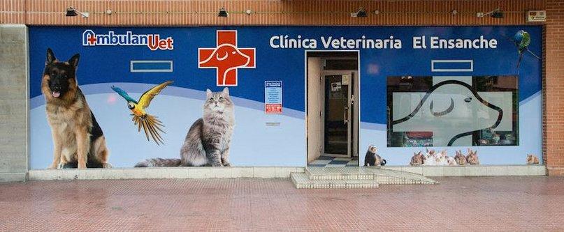 AmbulanVet Veterinary Center Eixample
