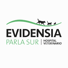 Your veterinarian Illescas