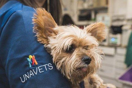 UNAVETS