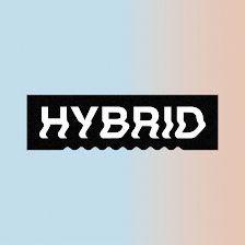 Hybrid Art Fair