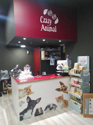 Crazy Animal