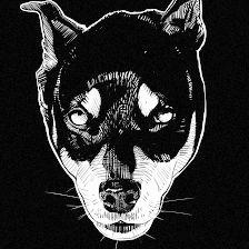 Etólogo canino Eduardo Rodríguez