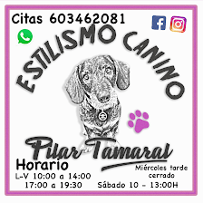 Peluqueria Canina y Estilismo Pilar Tamaral