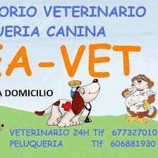 Bea-vet
