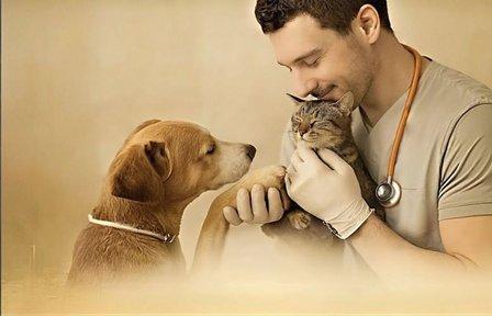 Clínica Veterinaria VetWonder