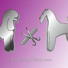 Peluquería Canina frenchieperbote