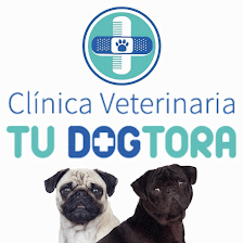Veterinaria Tu Dogtora