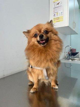 Clínica Veterinaria Mukay Carabanchel