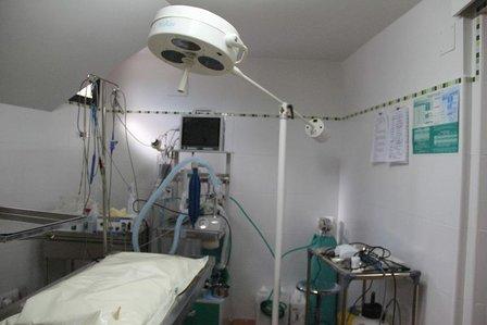 Veterinary Center Sotivet SL