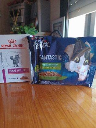 Comida Mascotas a Domicilio