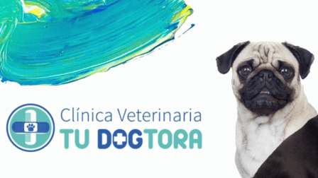 Veterinaria Tu Dogtora