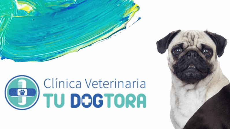 Veterinaria Tu Dogtora