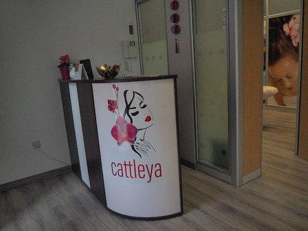 Cattleya Galapagar